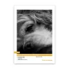 RC Photo Metallic Lustre 260g, A3+, 50 Blatt